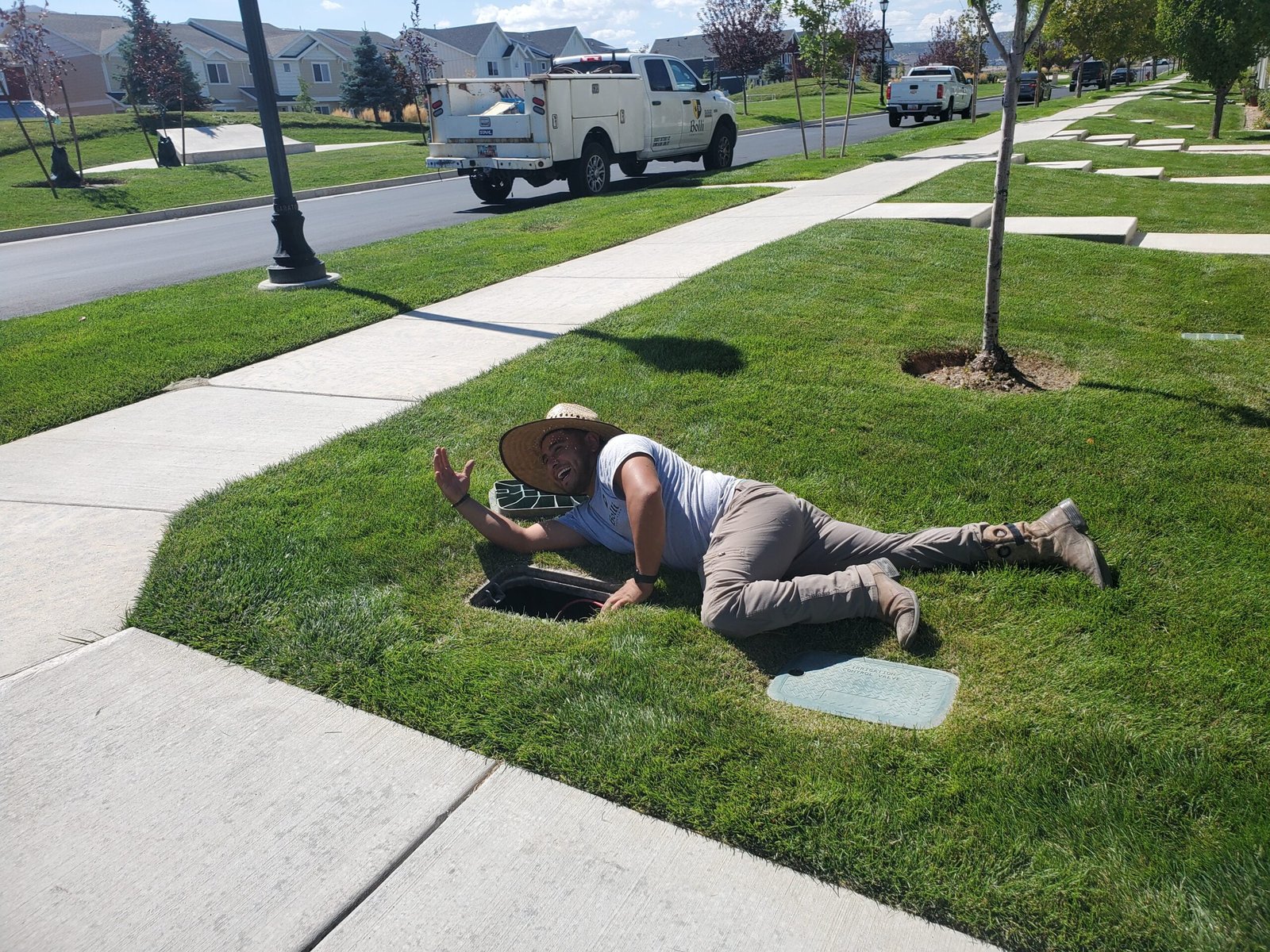 20230915_140040 planting a tree