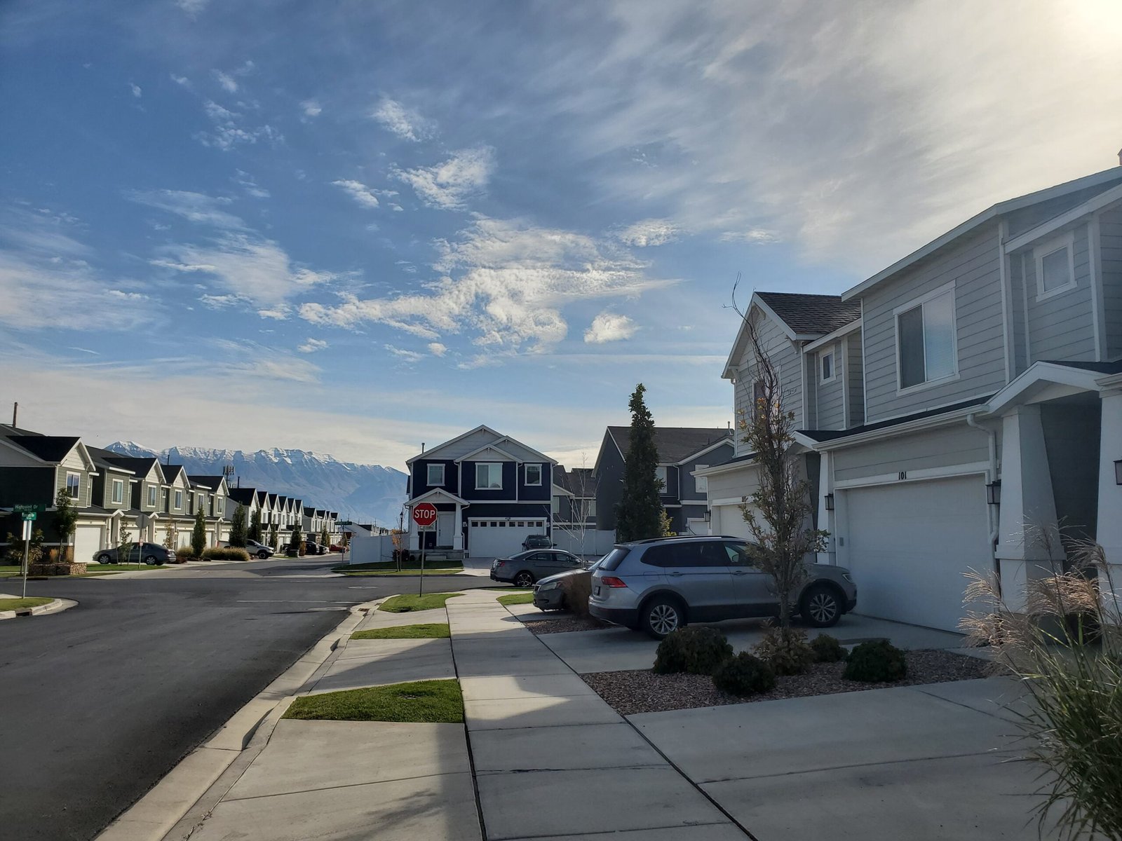 20231014_104009 Autumn Trees